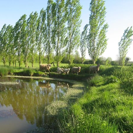 La Ferme de Magnantru Bed and Breakfast Perigne Esterno foto