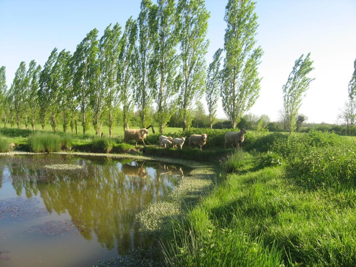 La Ferme de Magnantru Bed and Breakfast Perigne Esterno foto